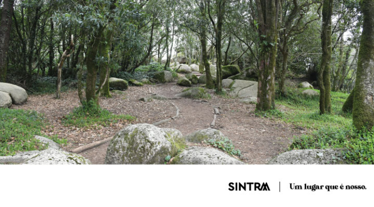 Município de Sintra organiza roteiro para assinalar o Dia do Parque Natural Sintra-Cascais