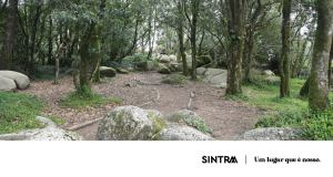 Município de Sintra organiza roteiro para assinalar o Dia do Parque Natural Sintra-Cascais