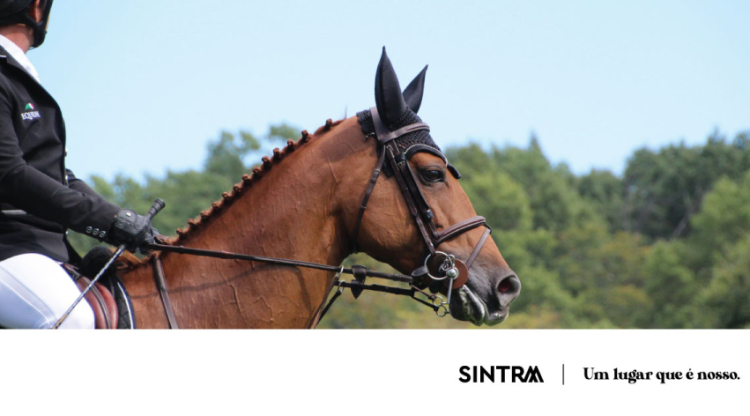 Sintra acolhe Concurso Nacional e Regional de Dressage