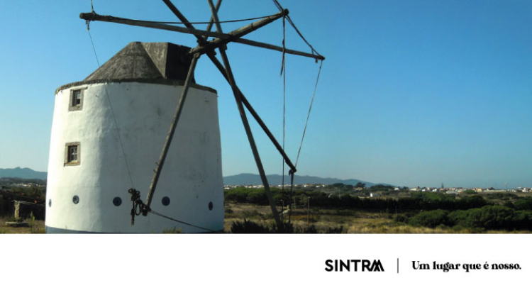 ESGOTADO | Inscrições abertas para percurso pedestre “No Cimo dos Montes”