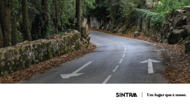 Serra de Sintra dá a partida ao Camélias Classic Rally