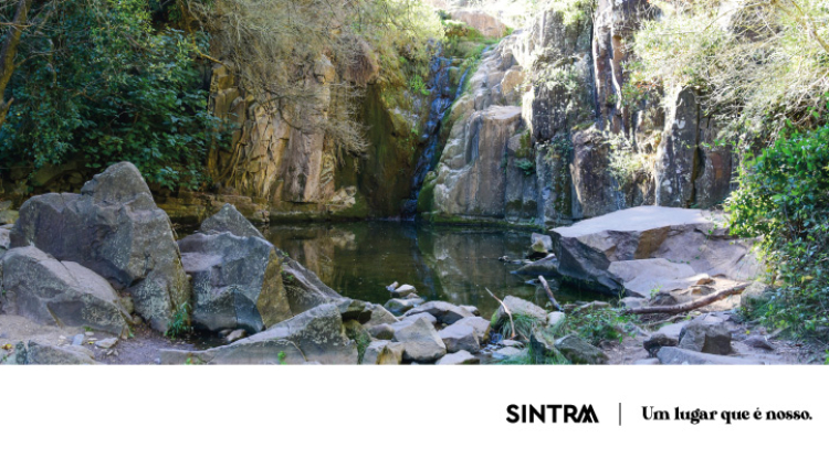 Sintra assinala o Dia das Águias com caminhada temática na Cascata de Anços