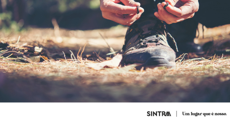 ESGOTADO | Venha conhecer a Pequena Rota da Peninha num percurso noturno