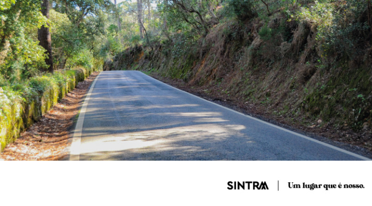 INFO | Serra de Sintra integra percurso do Rally de Lisboa