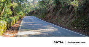 INFO | Serra de Sintra integra percurso do Rally de Lisboa