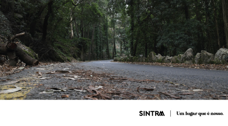 AVISO | Rally de Lisboa origina cortes de trânsito