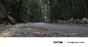 AVISO | Rally de Lisboa origina cortes de trânsito