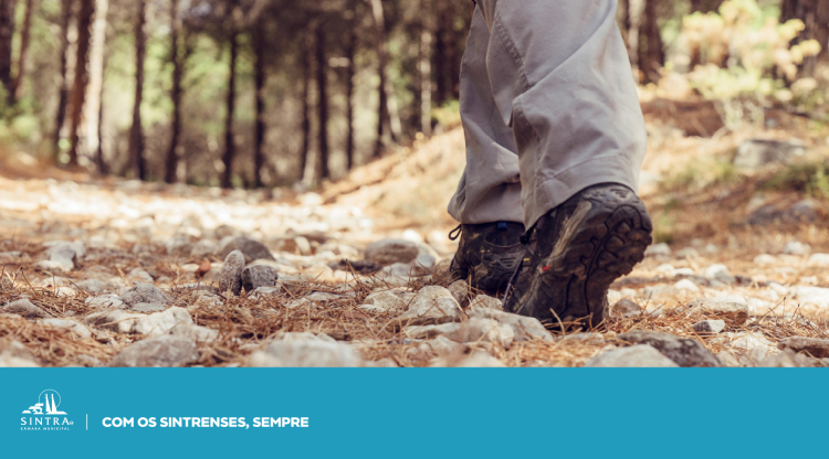 Inscrições abertas para percurso pedestre nas ruínas da Aldeia de Broas